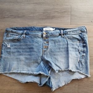 Torrid shorts